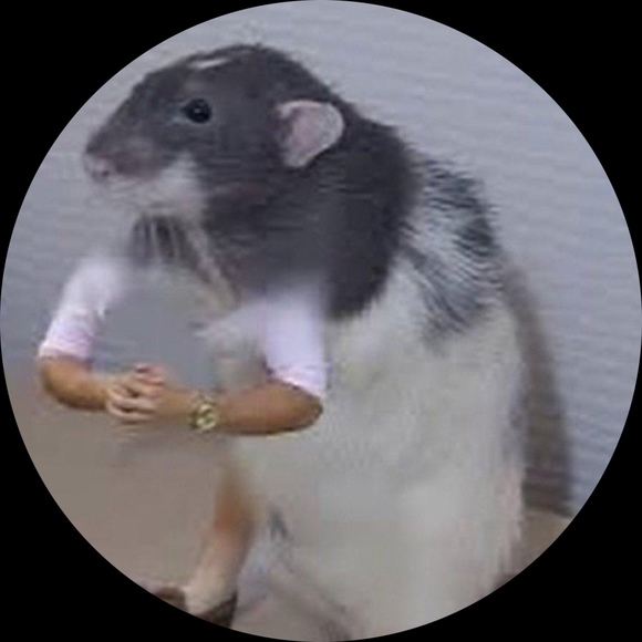 ratizz